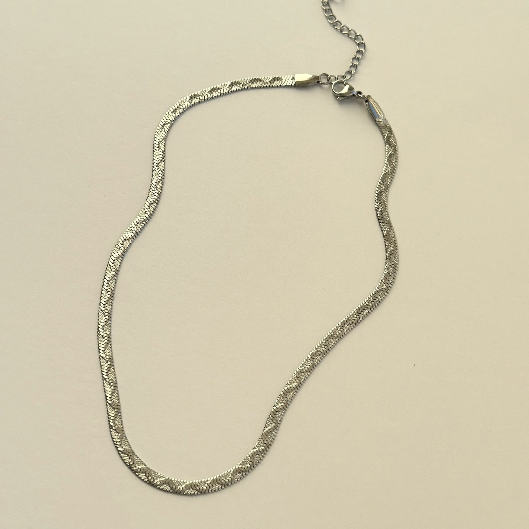 TB Luxe Sleek Steel Snake Chain Necklace